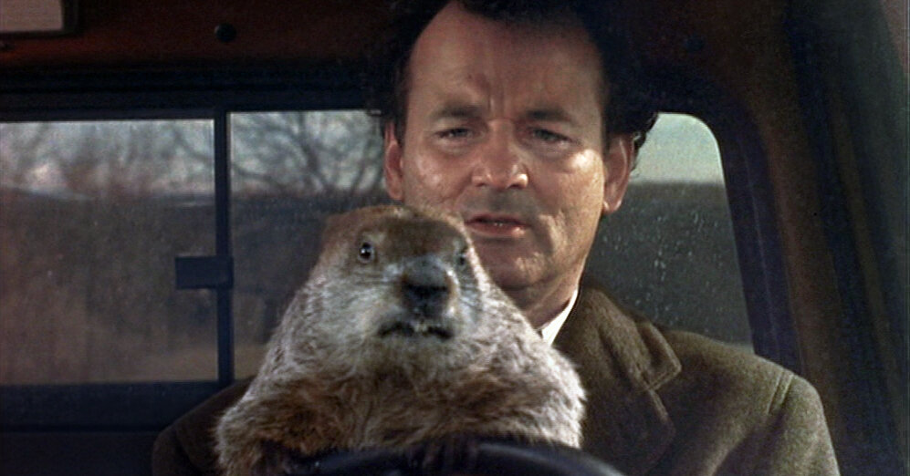 Groundhog day